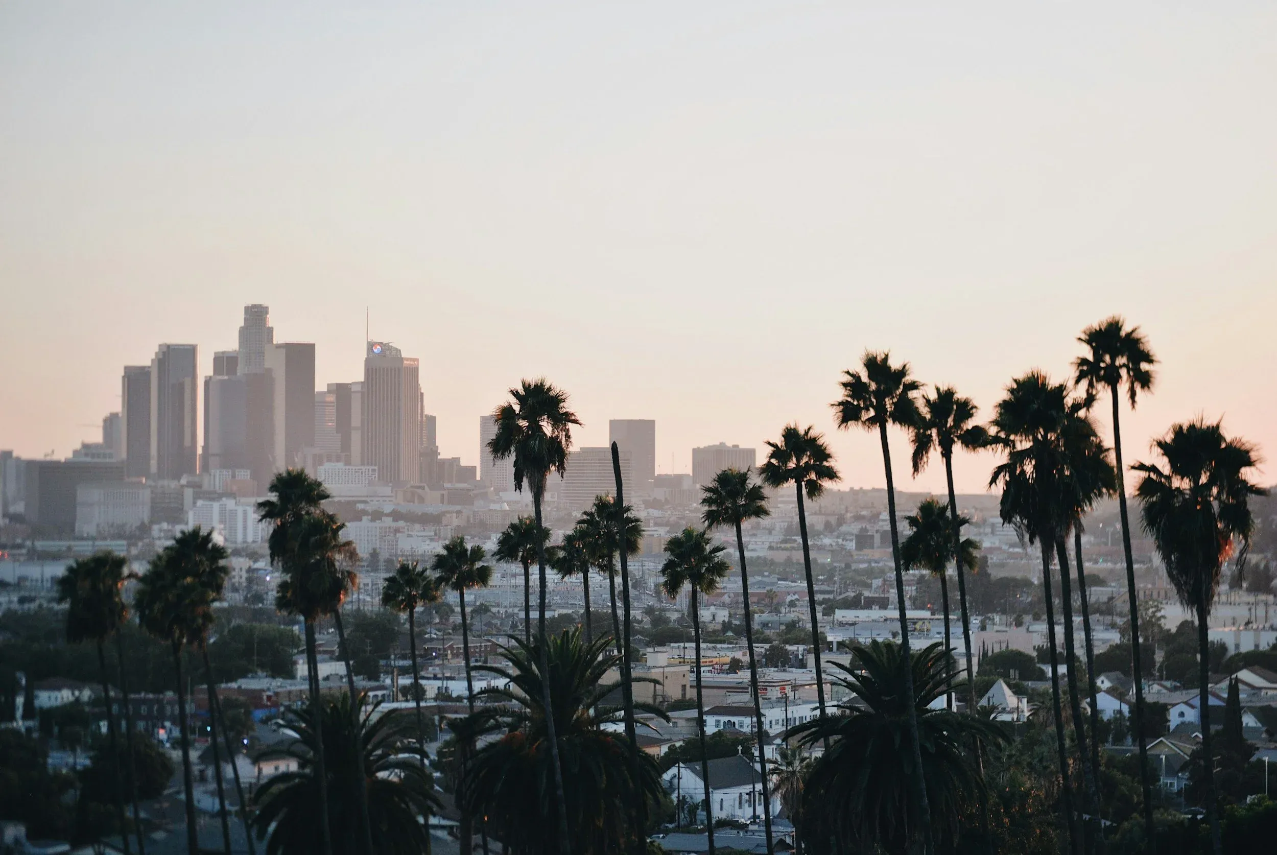 Los Angeles — Palmetto Psychology Clinic.