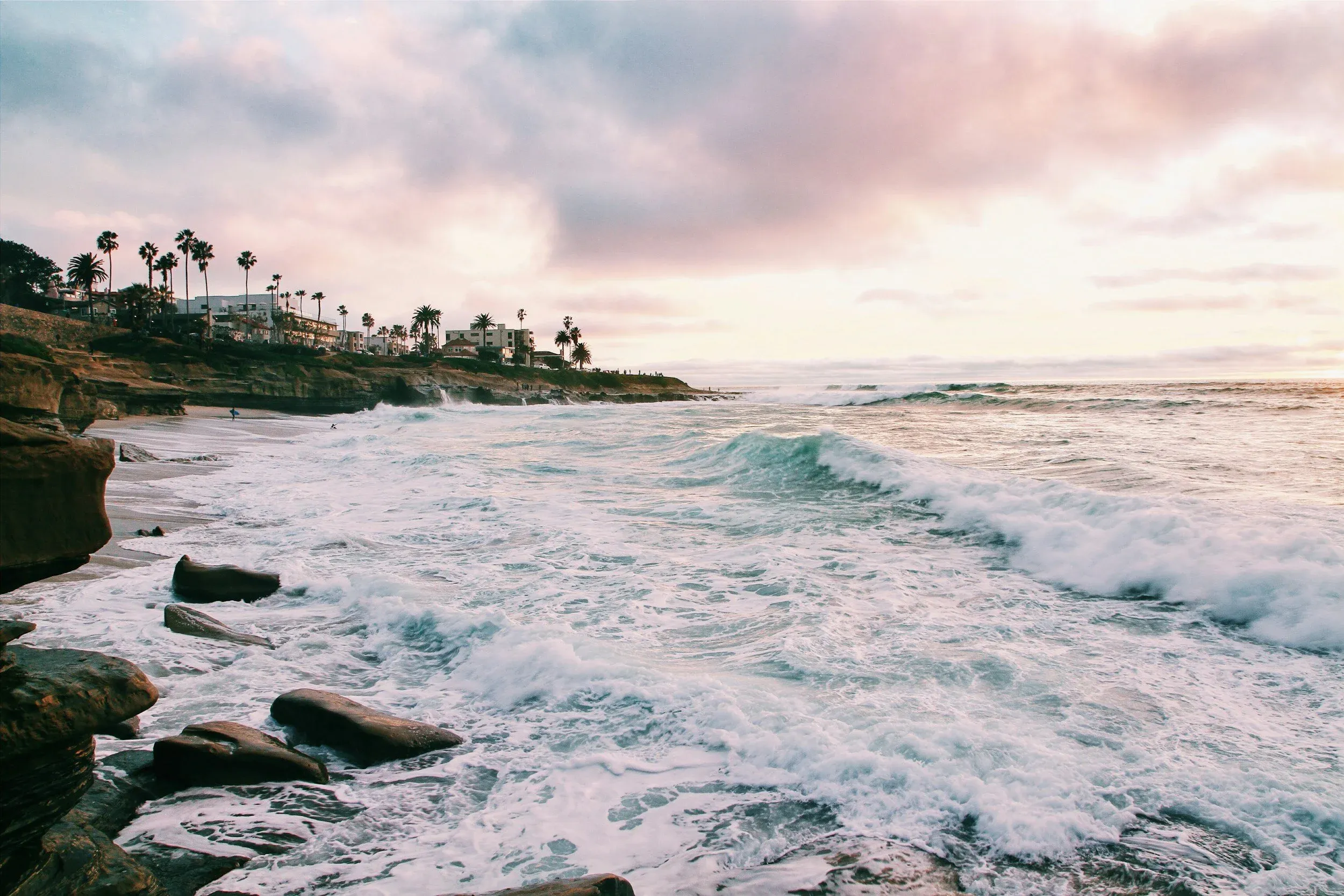 San Diego — Palmetto Psychology Clinic.
